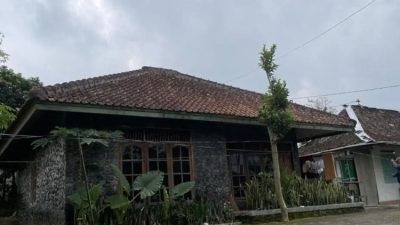 penemuan-11-bayi-sleman-rumah-bidan-hargobinangun-2026