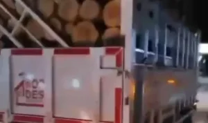 viral-truk-kopdes-merah-putih-angkut-kayu-pandeglang-apdesi-tegas