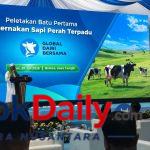 peletakan-batu-pertama-peternakan-sapi-perah-gdb-brebes