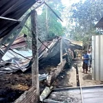 kandang-ayam-terbakar-di-winduaji-brebes-kerugian-150-juta
