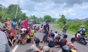 konflik-agraria-nangahale-sikka-penggusuran-kriminalisasi-warga